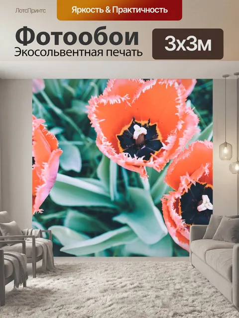 Фотообои Маки