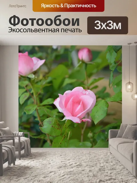 Фотообои Розы