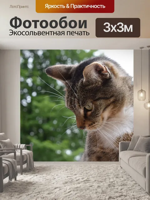 Фотообои Кошка