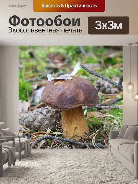 Фотообои Гриб