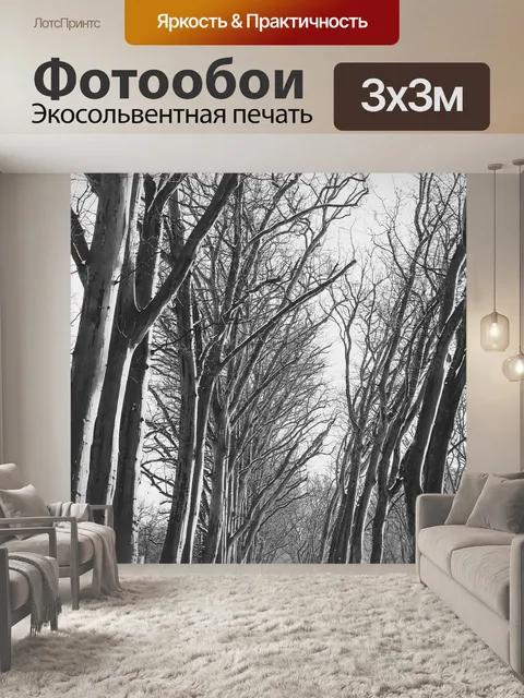 Фотообои Дорога