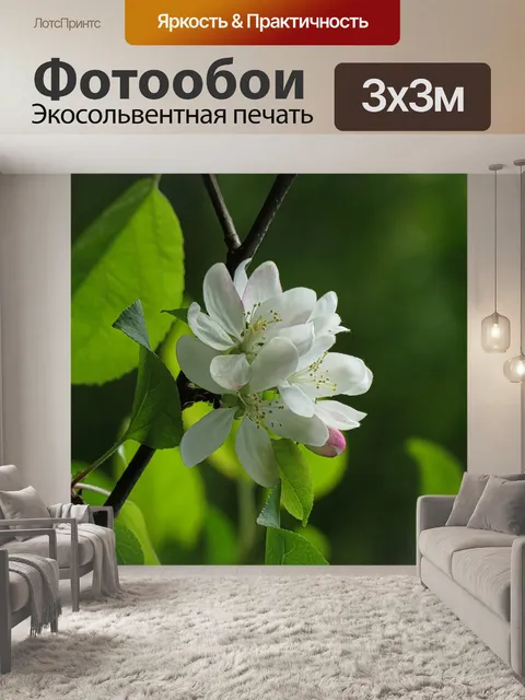 Фотообои Цветы
