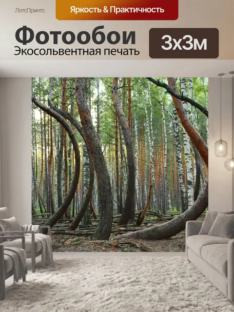 Фотообои Лес