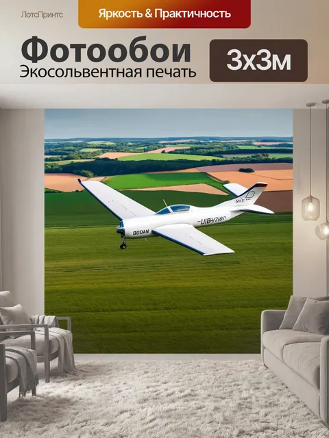 Фотообои самолет в стиле минимализм в контексте дачного пейзажа