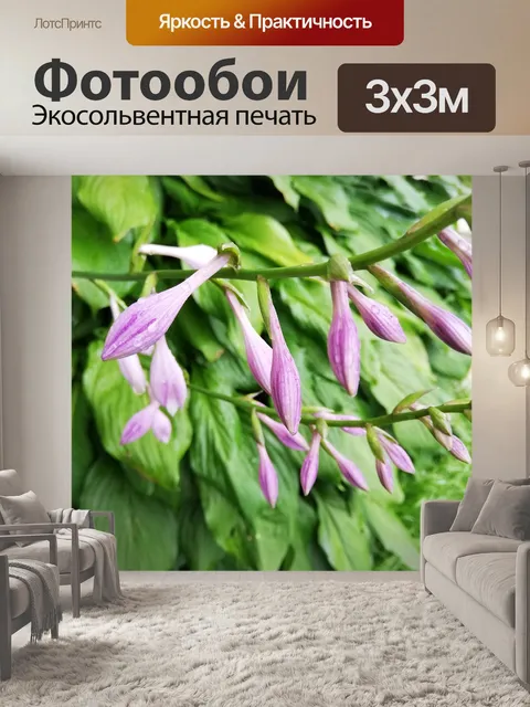 Фотообои Цветы