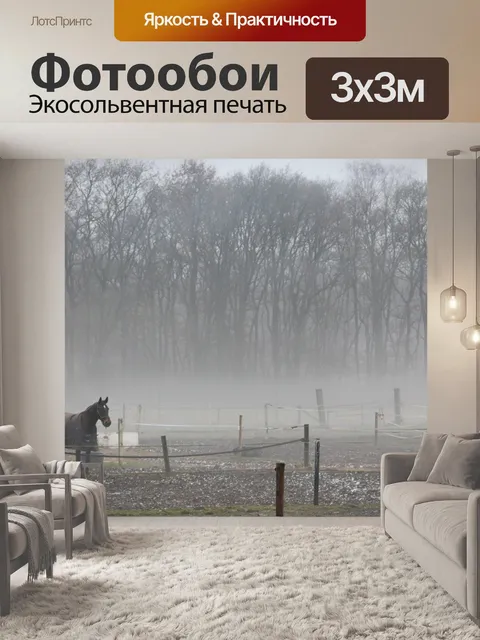 Фотообои Лошадь