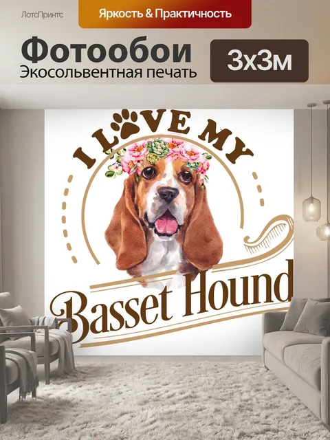 Фотообои Плакат с бассет-хаундом