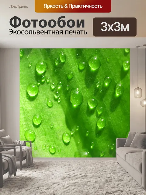 Фотообои Капля воды на листе