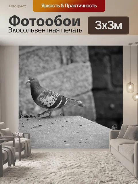Фотообои Pigeon городов