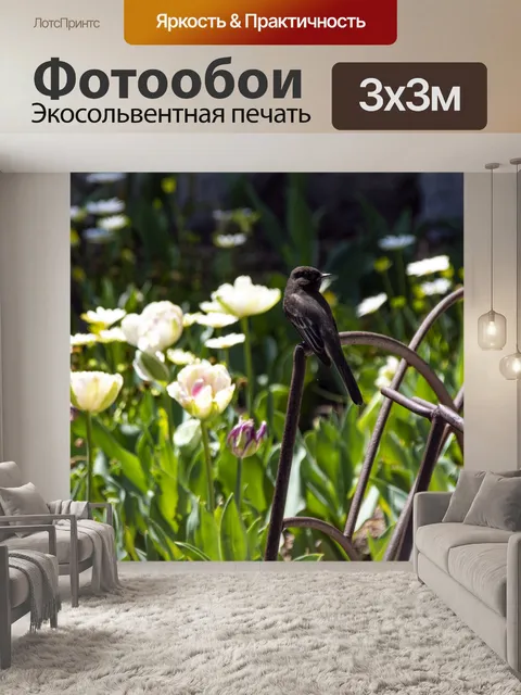 Фотообои черная птица в саду