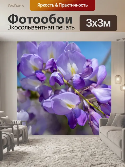 Фотообои Цветы