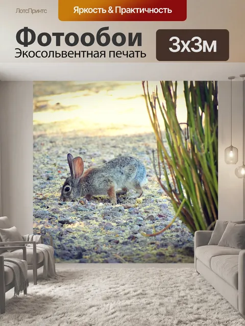 Фотообои Кролик