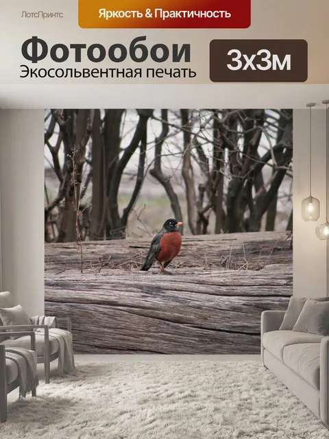 Фотообои Весна Робин