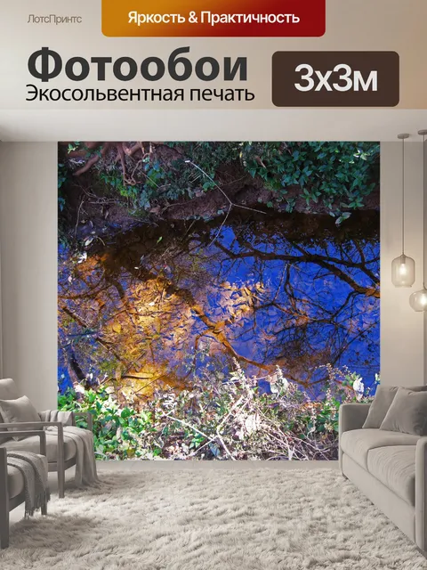 Фотообои мелководная впадина и опавшие листья