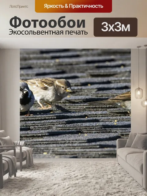Фотообои Воробьи