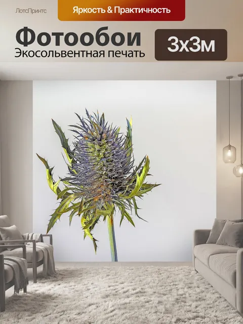 Фотообои Карта