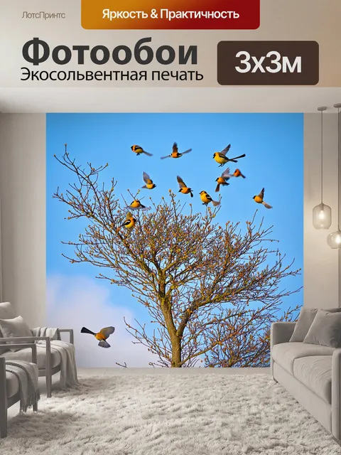 Фотообои дерево благоухания под зимней синевой, где жатающие щеглы быстро меняют направление