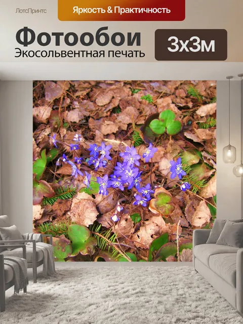 Фотообои Весна