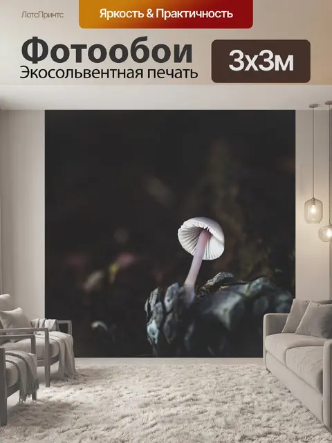Фотообои Гриб