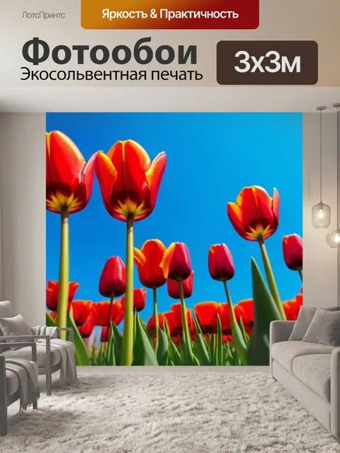 Фотообои яркие тюльпаны на фоне голубого неба