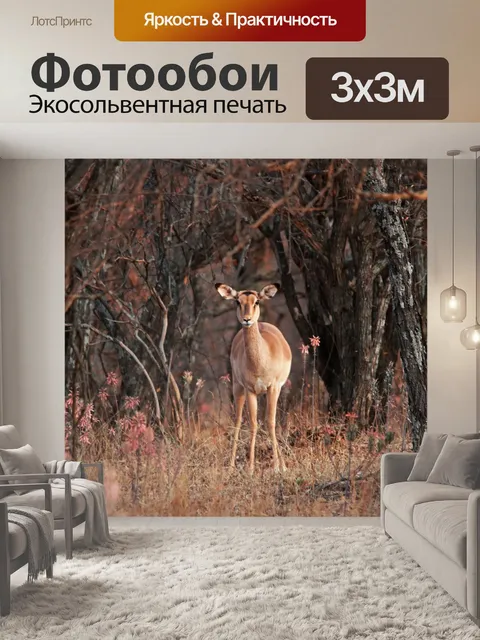 Фотообои Импала овца между деревьями