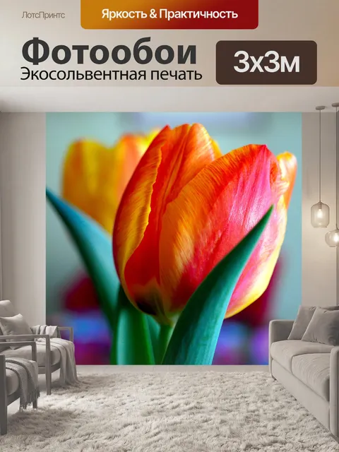 Фотообои Цветы