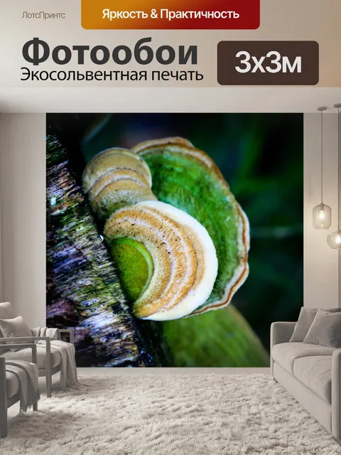 Фотообои Сад