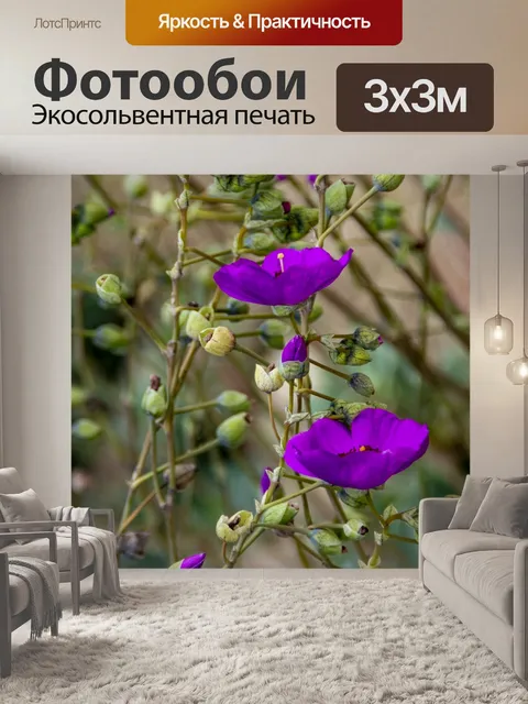 Фотообои Фиолетовый мак