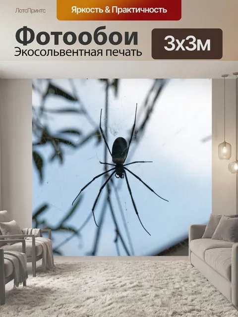 Фотообои золотой шар ткач паук на паутине