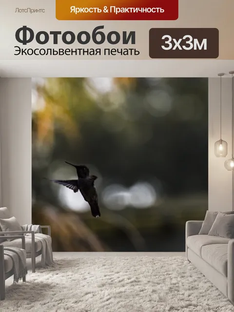 Фотообои Колибри в полете