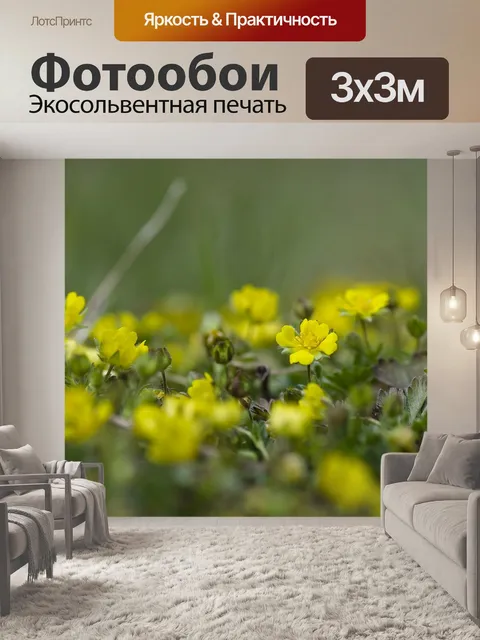 Фотообои Луг