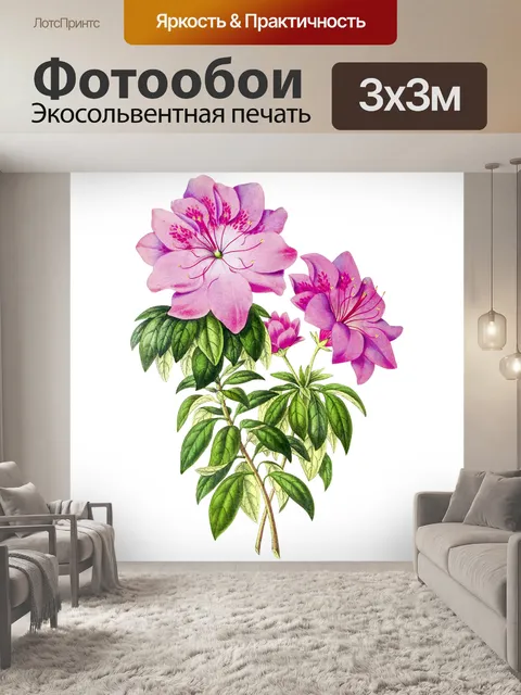 Фотообои Цветок розовый винтажное искусство