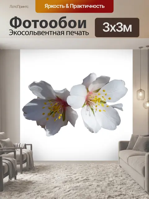Фотообои Цветы