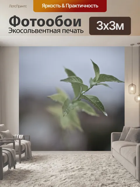 Фотообои Листья