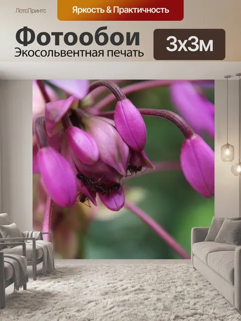 Фотообои Красивая