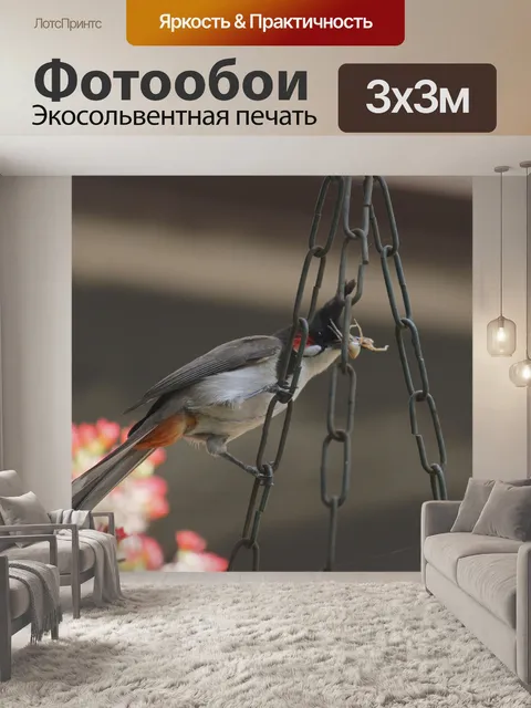 Фотообои Птицы