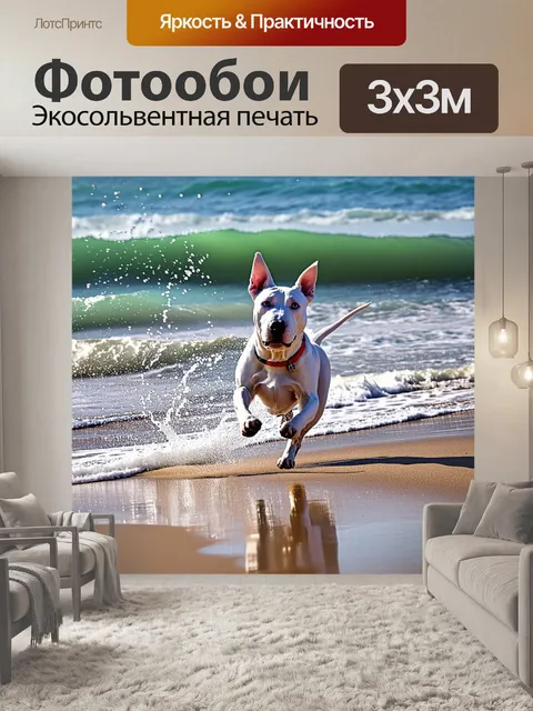 Фотообои на побережье, белый бультерьер скачет по песчаному берегу, шлейф из воды и пены за ним