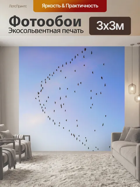 Фотообои Птицы