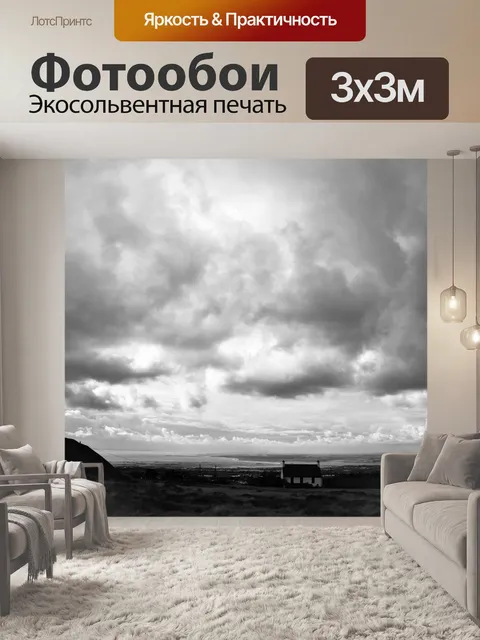 Фотообои Черно-белый