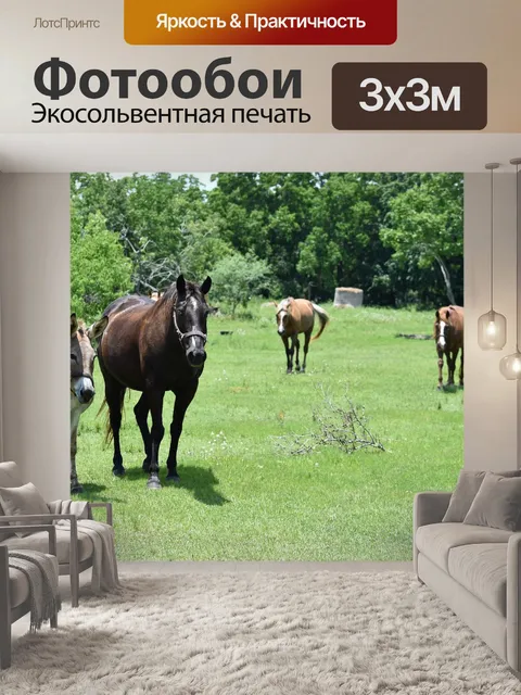 Фотообои Лошади