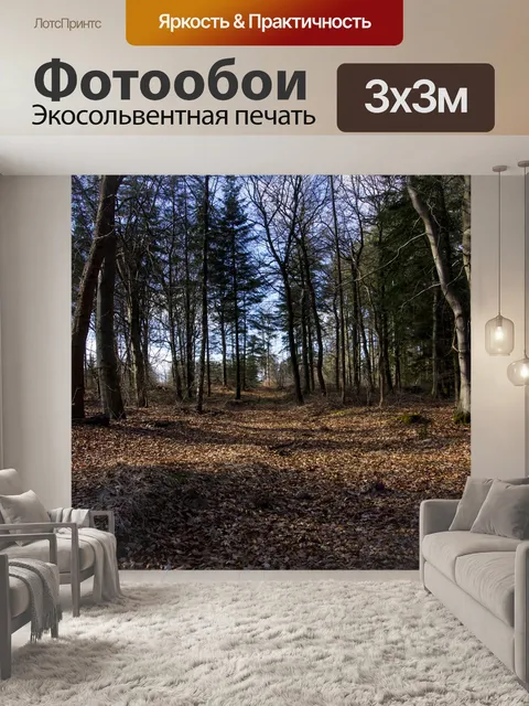 Фотообои Деревья