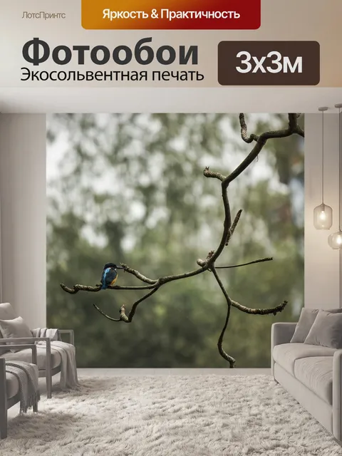 Фотообои Птица