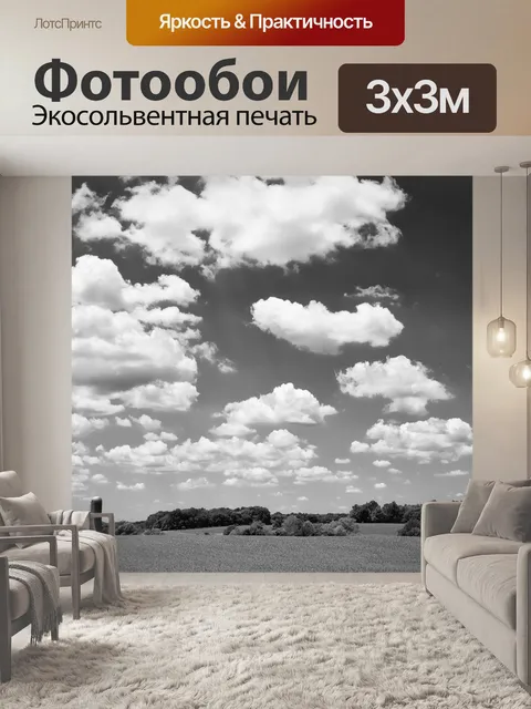 Фотообои Монохромный