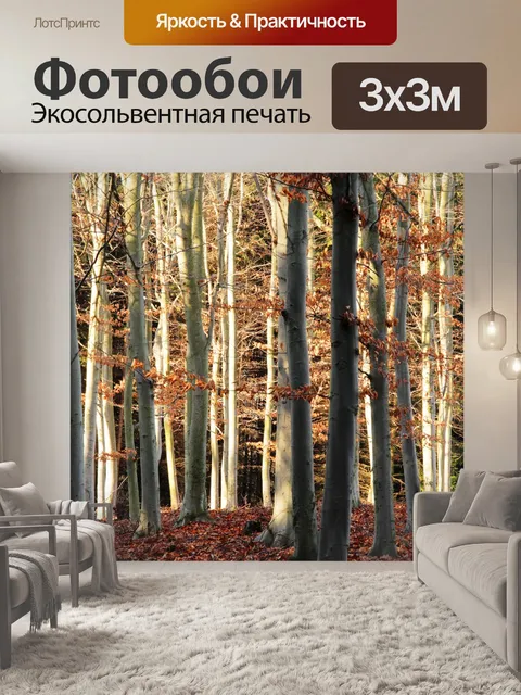Фотообои Лес