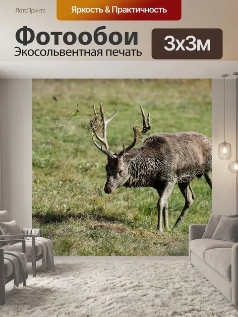 Фотообои Олень