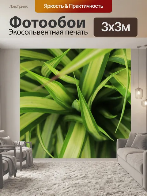 Фотообои Природа