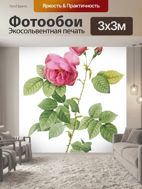 Фотообои Цветы