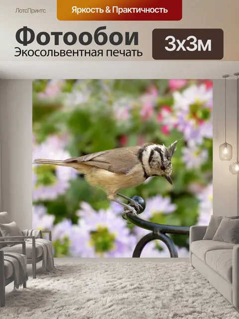 Фотообои Животное