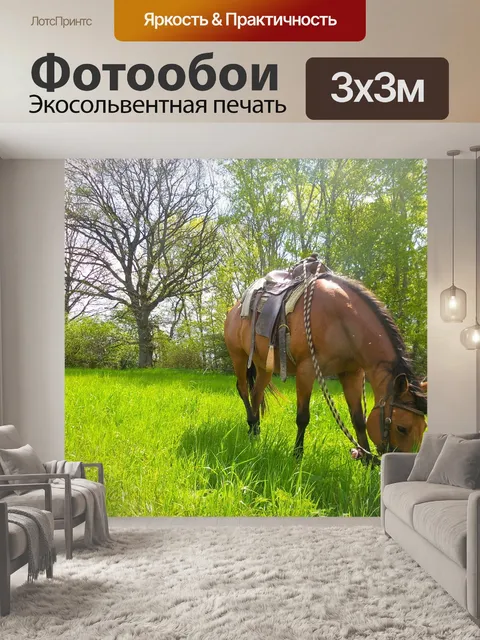 Фотообои Лошадь