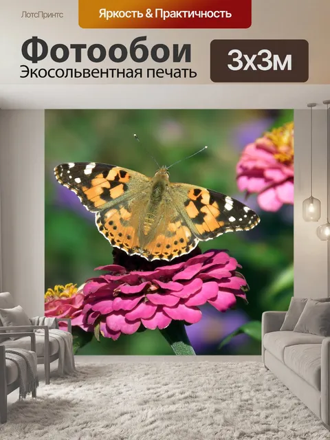 Фотообои Бабочка